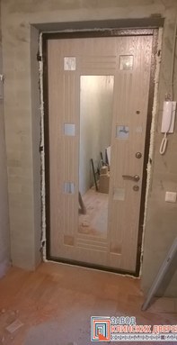 входная стальная дверь с зеркалом