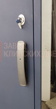 фото биометрического замка входной двери.jpeg
