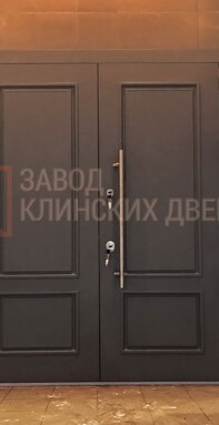 двухстворчатая металлическая дверь серого цвета в стиле модерн с хромированной тяговой ручкой