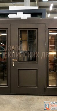 остекленная входная металлическая дверь с боковыми фрамугами с отделкой атмосферостойкими мдф панеля